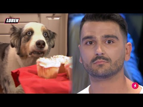 Τροχός της τύχης - Θεοδόσης: ΡΕ ΕΙΣΑΙ ΤΡΕΛΟΣ ΡΕ;;;; | Luben TV