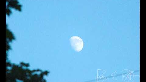 Custom Sketch Motion Callout