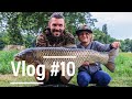 Carp Vlog #10 - Mise amur