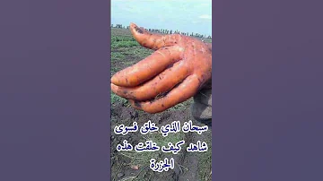 سبحان الذي خلق فسوى 