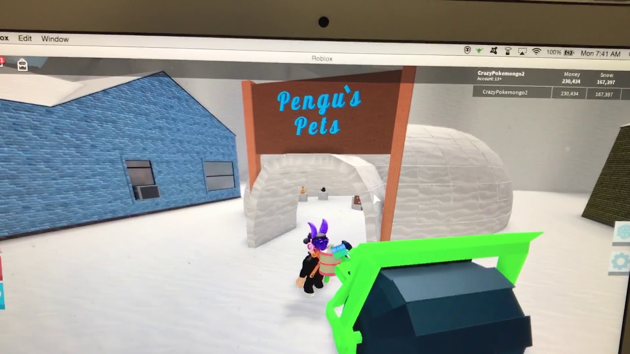 snow-shoveling-simulator-code-for-diamond-pet-youtube