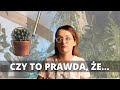 Czy to prawda, że... nikotyna zwalcza szkodniki, rośliny lepiej rosną gdy właściciel jest zdrowy #1