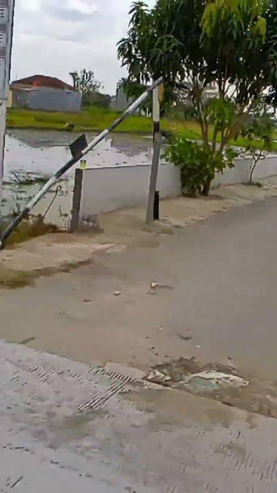 Cobo bedek aku nek ndy lur #trending #viral #campursari #pati #patibumiminatani