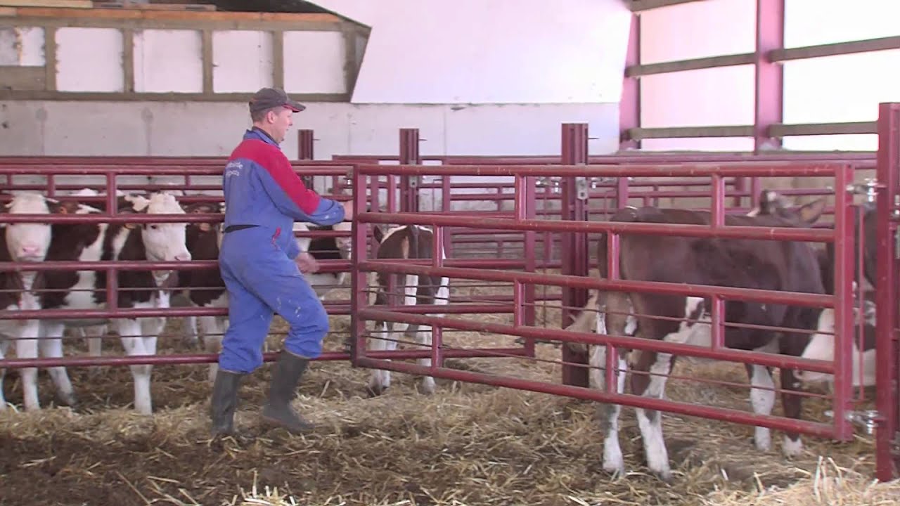 Présentation batiment agricole Ets Prétot Frères