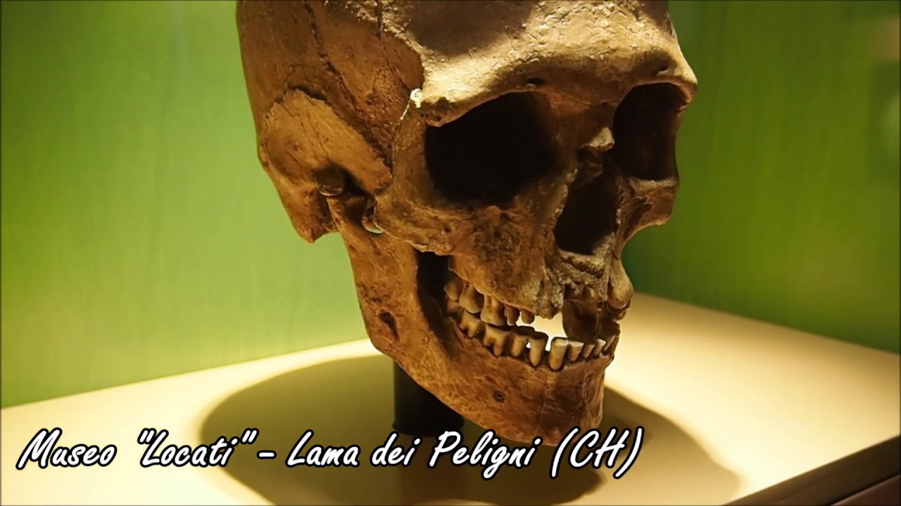 Museo naturalistico archeologico "Maurizio Locati" - Lama dei Peligni (CH) - Parco Majella - Abruzzo