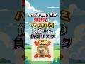 「保存必須!!」ハリネズミ飼育で危険な5つの行動