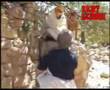 Bazza Film Chawi 5 