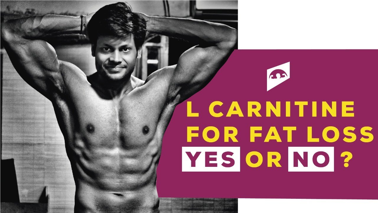 Which L Carnitine Is Best For Fat Loss