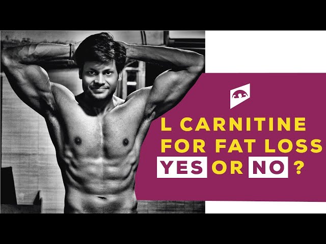 l carnitina 3000 gold nutrition GOLD NUTRITION L-CARNITINE 3000 20 VIALES