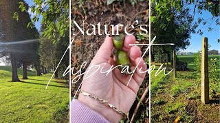 Silent Vlog. Slow Piano. Writing, Walking, Leafs and Acorns. Relaxing Day in Nature. #cute #squirrel