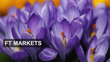 Signs of life in Europe