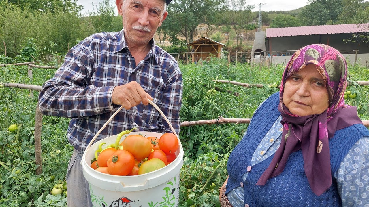 Bahçede yeni taze taze sebzeler Akşam yemeği