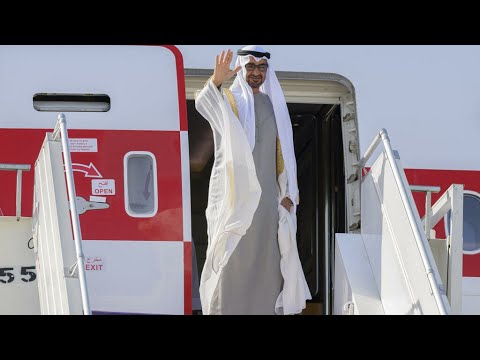 France, UAE sign energy cooperation deal • FRANCE 24 English