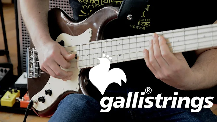 GALLI BASS STRINGS COMPARISON