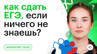 Как сдать ЕГЭ по БИОЛОГИИ, если ничего не знаешь? | Биология ЕГЭ 2023 | Быстрая подготовка | СОТКА