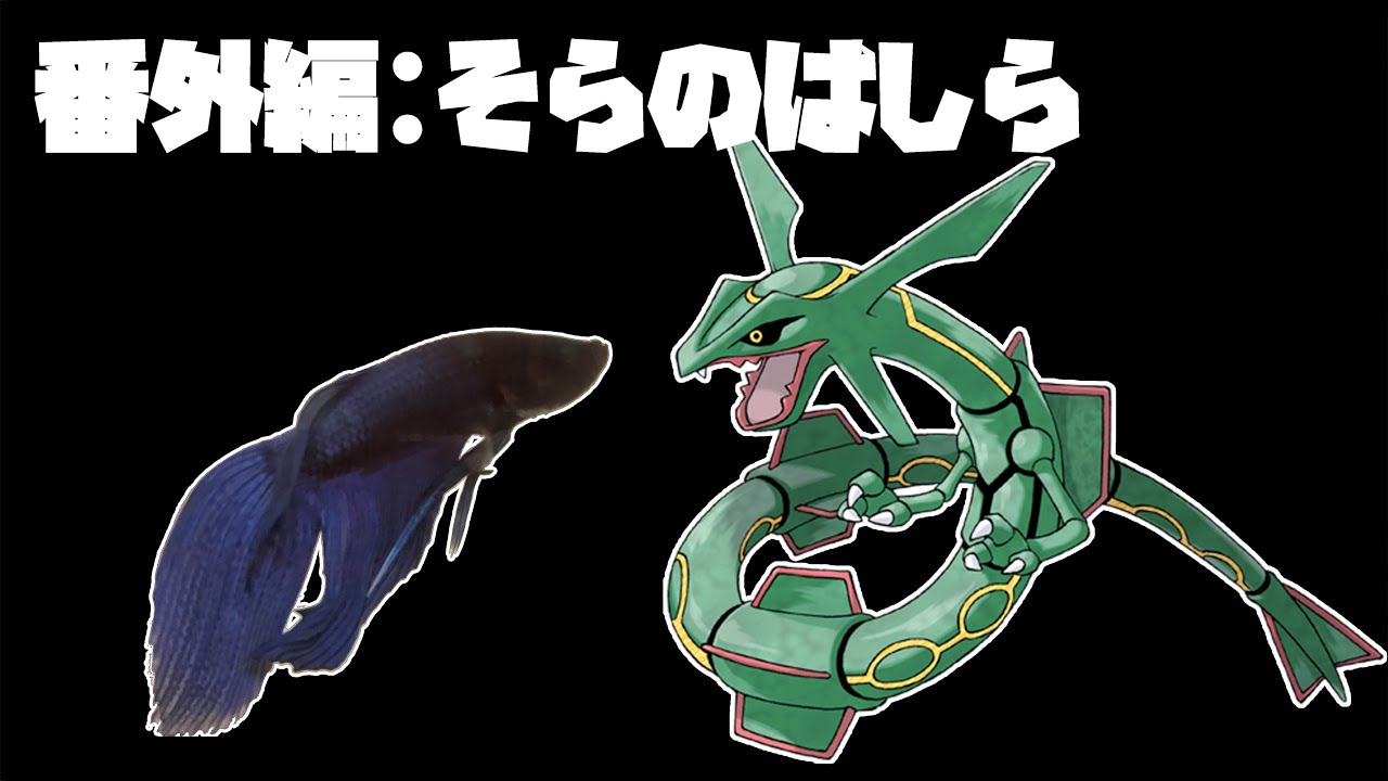 3184h ポケモンリーグ編 ペットの魚でポケモンクリア Clear The Pokemon With Fish 作業用bgm 的youtube视频效果分析报告 Noxinfluencer