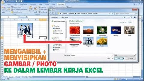 Membuat Tombol mengambil + menyisipkan gambar di sel aktif lembar kerja Excel menggunakan MACRO VBA