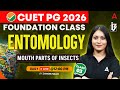 CUET PG 2026 FOUNDATION | ENTOMOLOGY MOUTH PARTS OF INSECTS CLASS #3 | BY DAMINI MA'AM