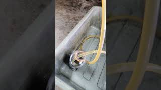 Black Tusk - Bleed on Your Knees