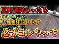 【秋野菜やる前に】プロはコレやります!!土壌をリセットする方法を紹介します!!