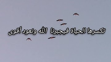 لا تقلق كل الذين اتجهوا الى الله باجنحة مكسورة عادوا محلقين