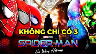 SPIDER-MAN: No Way Home - KHÔNG CHỈ CÓ 3 NGƯỜI NHỆN