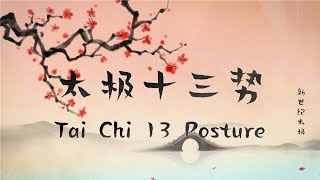 太极十三势 Tai Chi 13 Posture