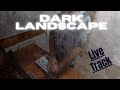 Dark Landscape (Live track)