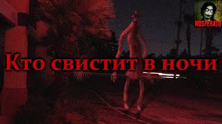 КТО СВИСТИТ В НОЧИ. Страшные истории на ночь. Страшилки на ночь