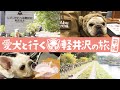 【軽井沢旅行vlog】愛犬と行くには最高の場所でした！【前編】