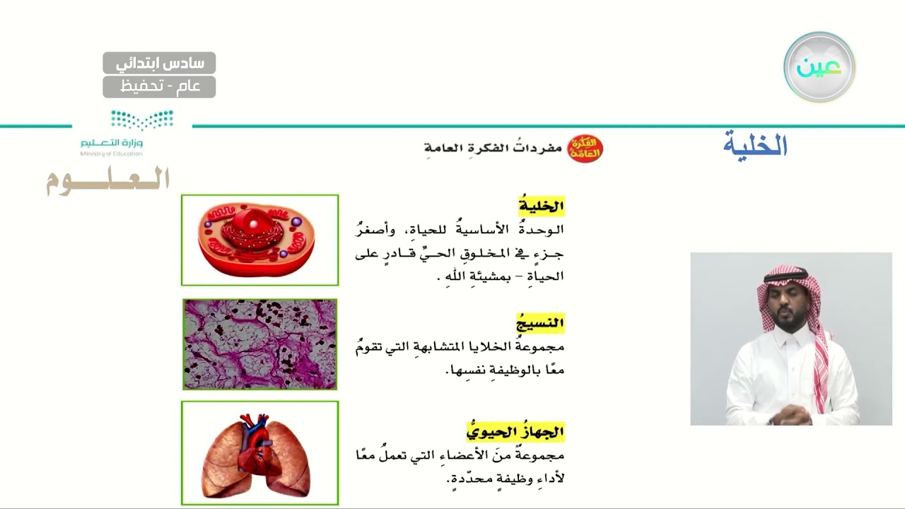 الخلايا - العلوم - سادس ابتدائي