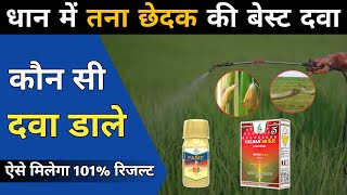 ? धान में तना छेदक ? से होने वाला नुक़सान ? Bayer Fame vs Cartop 50sp ?