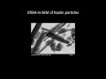[Materials] STEM-in-SEM of Kaolin particles