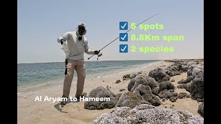 Al Aryam to Hameem | 8.6km stretch, 5 spots in 1 Day | Queenfish Everywhere!