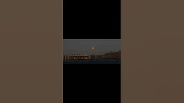 تلاوة خاشعة تريح القلب القارئ #محمد_شيحات
