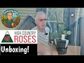 Unboxing 🌹Awesome Climbing Roses🌹 From High Country Roses HIGHCOUNTRYROSES.COM
