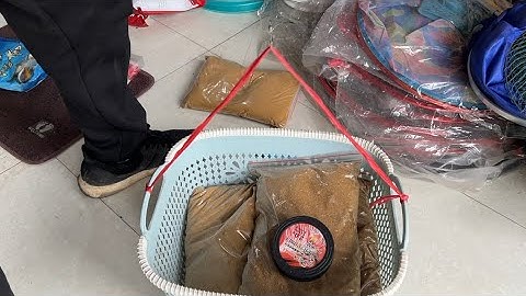 Tét tải tĩnh cước trục QINGLONG tím 150m hàng đẹp chất lượng