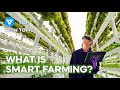 3 Innovative Smart Farming (Vertical Farming) | Future of Farming ▶ 1