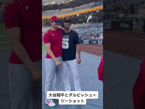 ダルビッシュも大谷翔平も凄い腕だな！しかもイケメン