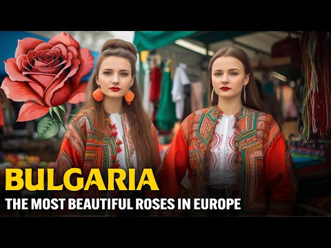 BULGARIA: THE LAND OF THE MOST BEAUTIFUL ROSES IN EUROPE