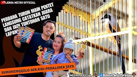 MR.RIKI DARI MAIN MURAI KINI COBA COBA MAIN PENTET EHH KEASIKAN DAN SELALU BORONG JUARA 🤩🤩 