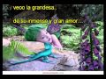 Cuando Veo Las Estrellas Con Letra