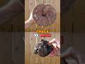 Chaga Vs Reishi Which Mushroom Is Right For You рџЌ Chaga Vs Reishi Which Mushroom Is Right For You рџЌ