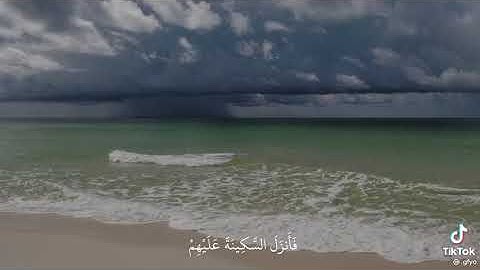 لَّقَدْ رَضِيَ اللَّهُ عَنِ الْمُؤْمِنِينَ إِذْ يُبَايِعُونَكَ تَحْتَ الشَّجَرَةِ ….18) سورة الفتح