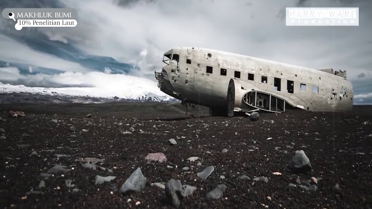 134 Dunia Terkejut Hewan Raksasa Ditemukan Di Laut Maluku