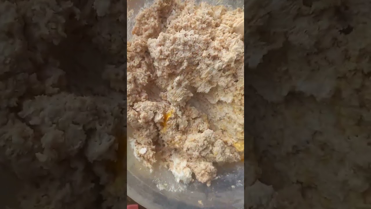 Ep13วิธีทำสูตรเหยื่อตกปลากดใส้หมูหมักครับกะทิผมจะใส่ตอนเหยื่อเป็นหรือจะใส่ตอนทำก่อได้ครับน้า