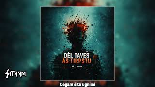 Dėl Tavęs Aš Tirpstu (2026)