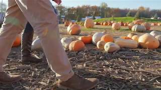 Fun Farm Pumpkin Patch