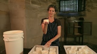 Artisan Cheese Making at Elizabeth Bay House