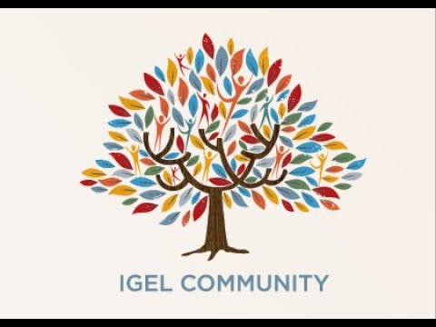 IGEL Community Meetup - June 2023 - Update with Ron Neher about Community GitHub and customisation